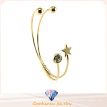 Crystal Silver Star Bangles and Bracelet Jewelry (G41329)